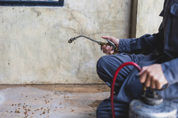 Best Pest Control Near Me  in Medford, WI